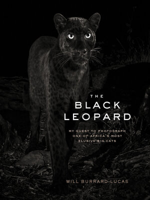 cover image of The Black Leopard